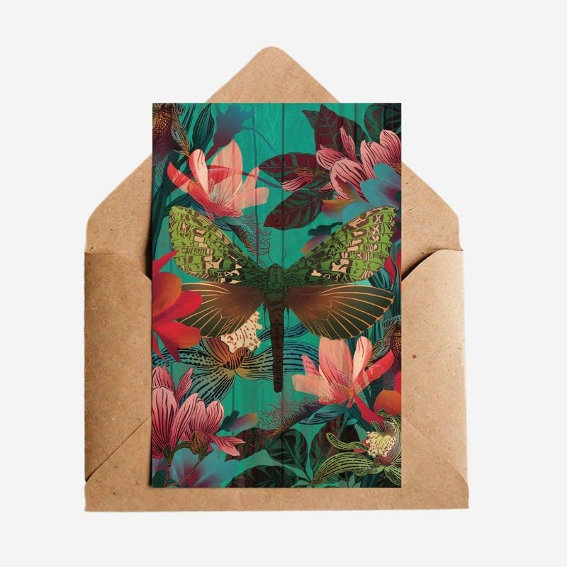 Cards - Magnolia & Moth - 6 Pack